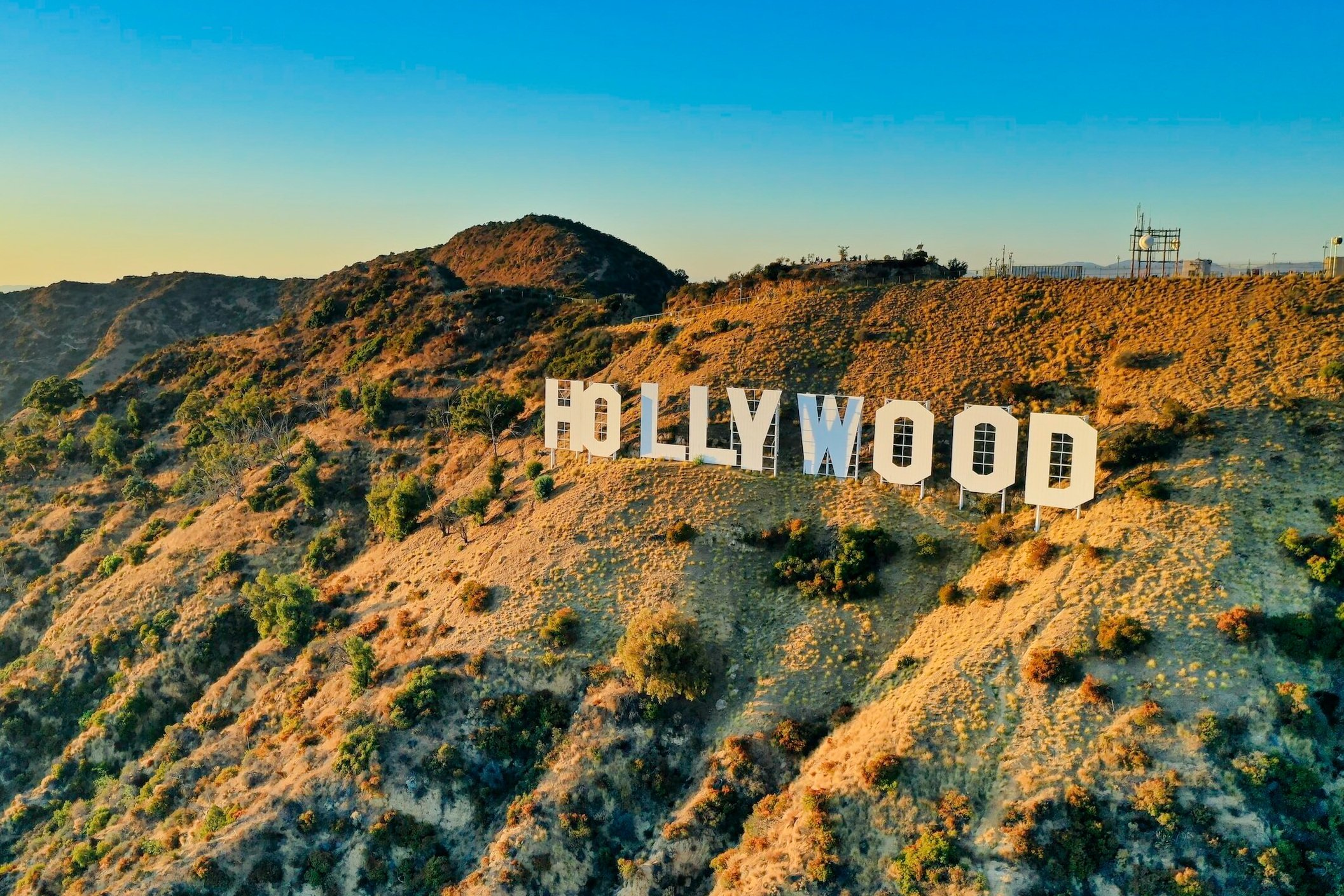 hollywood medics