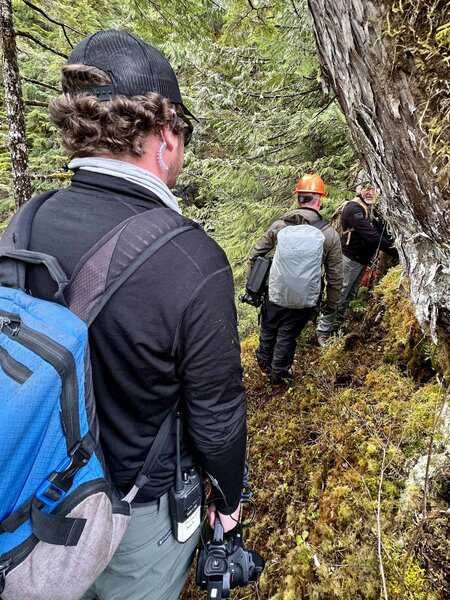 Four people hiking through a dense forest, wearing backpacks and outdoor gear.
